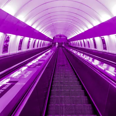 Light Fever — Transit